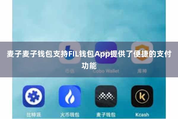 麦子麦子钱包支持FIL钱包App提供了便捷的支付功能