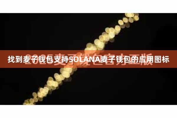 找到麦子钱包支持SOLANA麦子钱包的应用图标