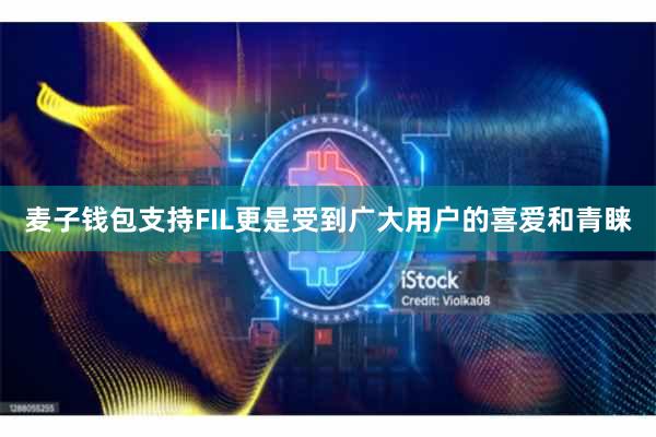 麦子钱包支持FIL更是受到广大用户的喜爱和青睐