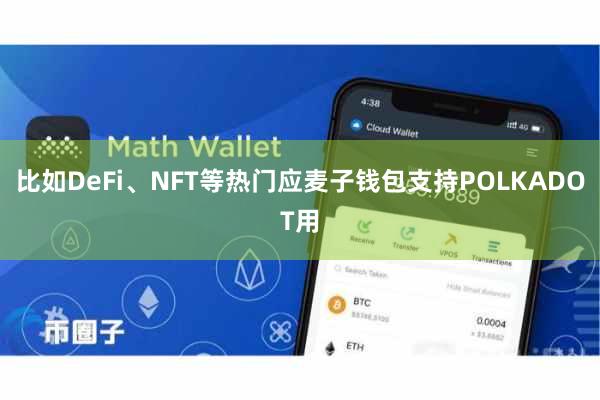 比如DeFi、NFT等热门应麦子钱包支持POLKADOT用