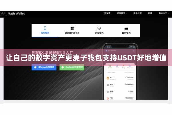 让自己的数字资产更麦子钱包支持USDT好地增值