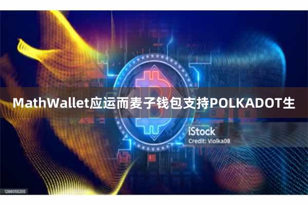 MathWallet应运而麦子钱包支持POLKADOT生