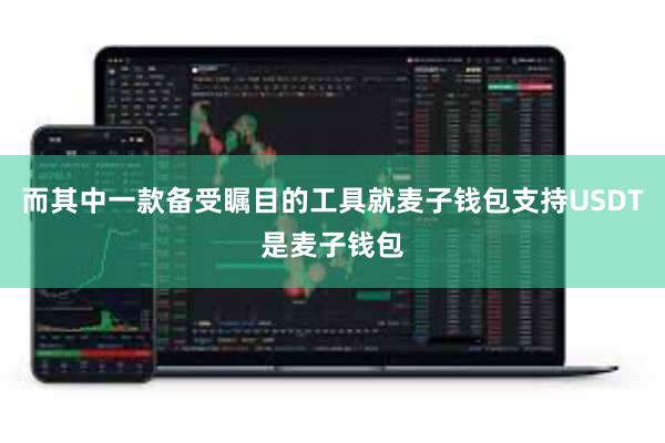 而其中一款备受瞩目的工具就麦子钱包支持USDT是麦子钱包