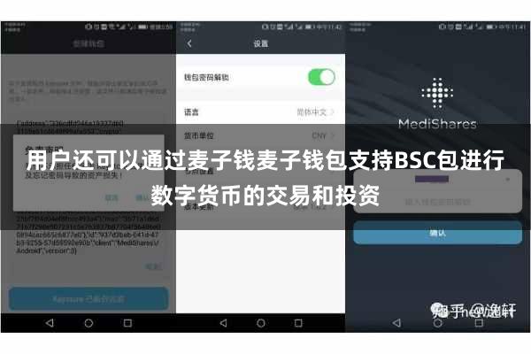 用户还可以通过麦子钱麦子钱包支持BSC包进行数字货币的交易和投资