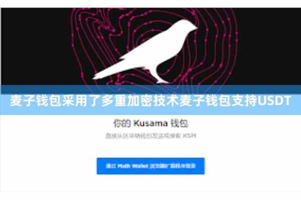 麦子钱包采用了多重加密技术麦子钱包支持USDT