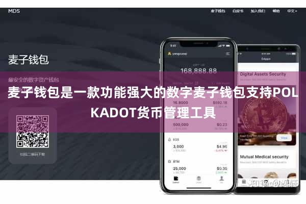 麦子钱包是一款功能强大的数字麦子钱包支持POLKADOT货币管理工具