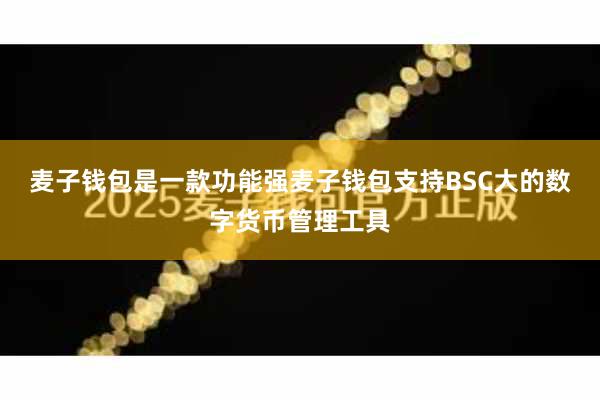 麦子钱包是一款功能强麦子钱包支持BSC大的数字货币管理工具