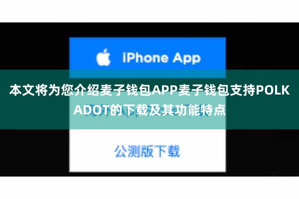 本文将为您介绍麦子钱包APP麦子钱包支持POLKADOT的下载及其功能特点