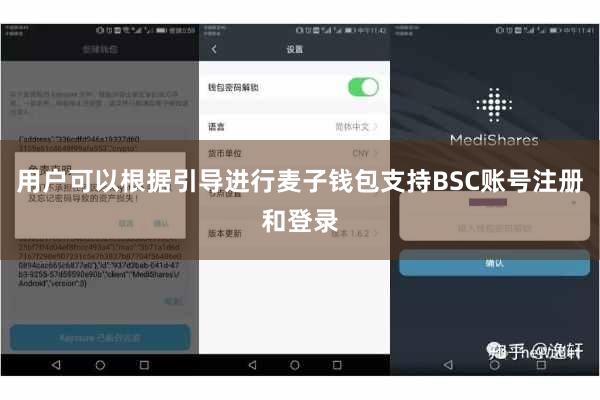 用户可以根据引导进行麦子钱包支持BSC账号注册和登录