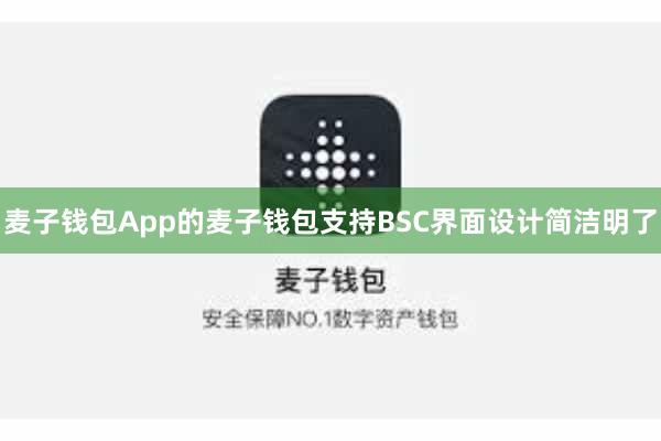 麦子钱包App的麦子钱包支持BSC界面设计简洁明了