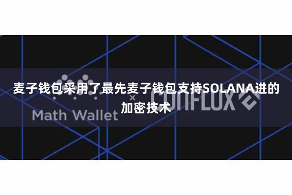 麦子钱包采用了最先麦子钱包支持SOLANA进的加密技术