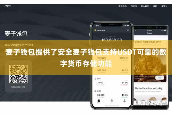 麦子钱包提供了安全麦子钱包支持USDT可靠的数字货币存储功能