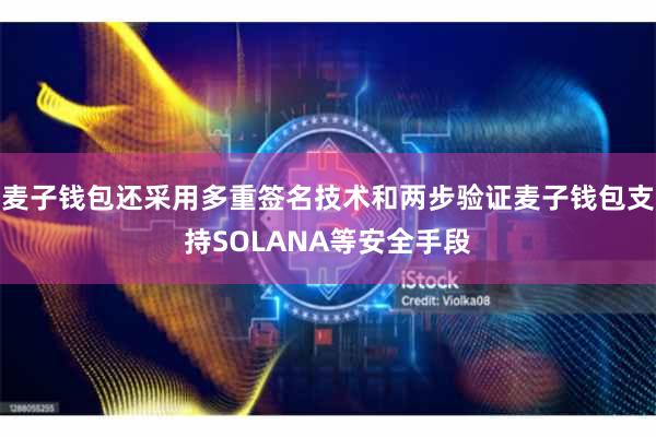 麦子钱包还采用多重签名技术和两步验证麦子钱包支持SOLANA等安全手段