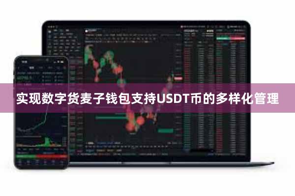 实现数字货麦子钱包支持USDT币的多样化管理