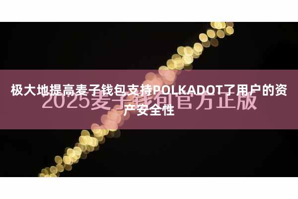 极大地提高麦子钱包支持POLKADOT了用户的资产安全性