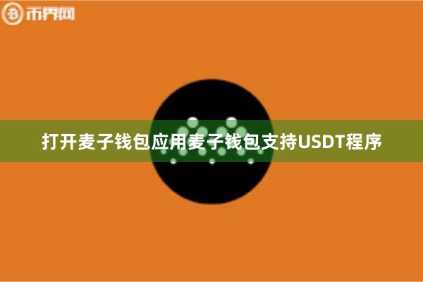 打开麦子钱包应用麦子钱包支持USDT程序