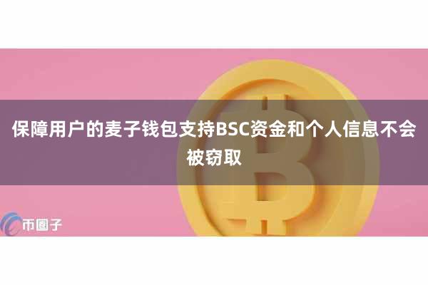 保障用户麦子钱包支持FIL的资金和个人信息不会被窃取