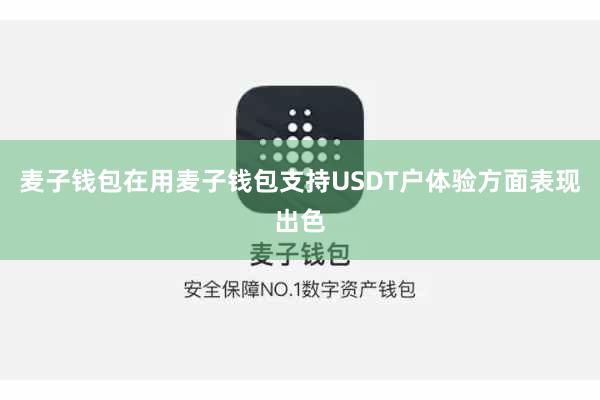 麦子钱包在用麦子钱包支持USDT户体验方面表现出色