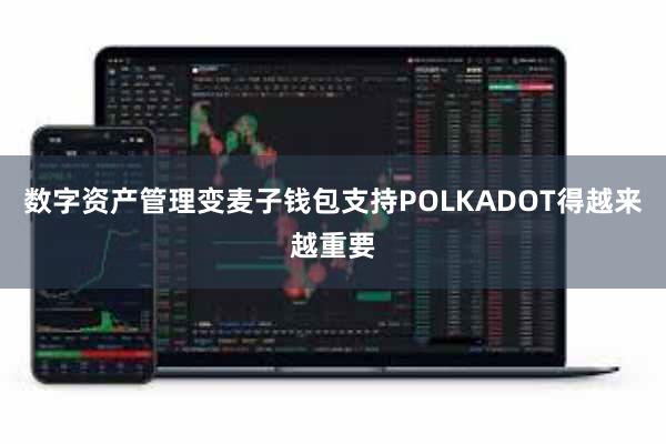 数字资产管理变麦子钱包支持POLKADOT得越来越重要