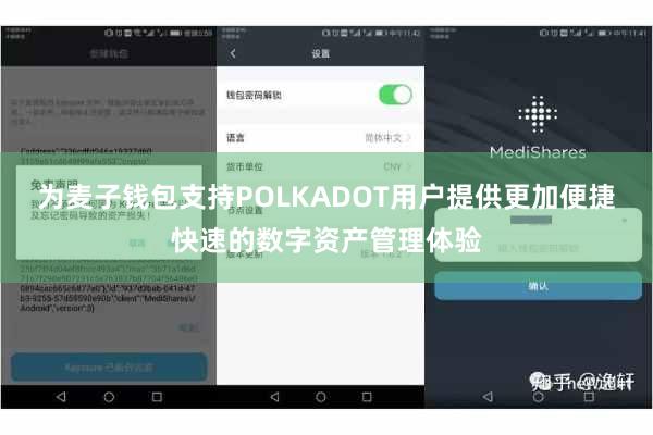 为麦子钱包支持POLKADOT用户提供更加便捷快速的数字资产管理体验