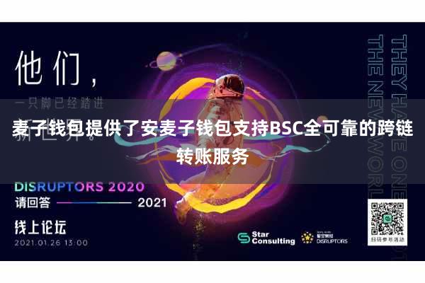 麦子钱包提供了安麦子钱包支持BSC全可靠的跨链转账服务