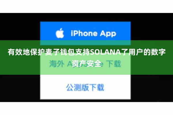 有效地保护麦子钱包支持SOLANA了用户的数字资产安全