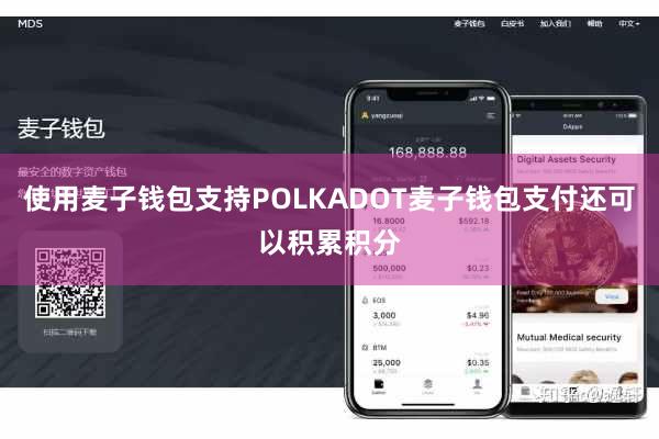 使用麦子钱包支持POLKADOT麦子钱包支付还可以积累积分