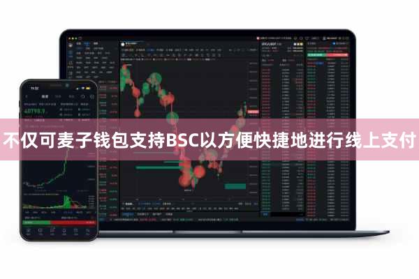 不仅可麦子钱包支持BSC以方便快捷地进行线上支付