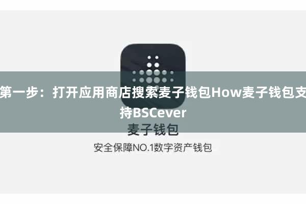 第一步：打开应用商店搜索麦子钱包How麦子钱包支持BSCever