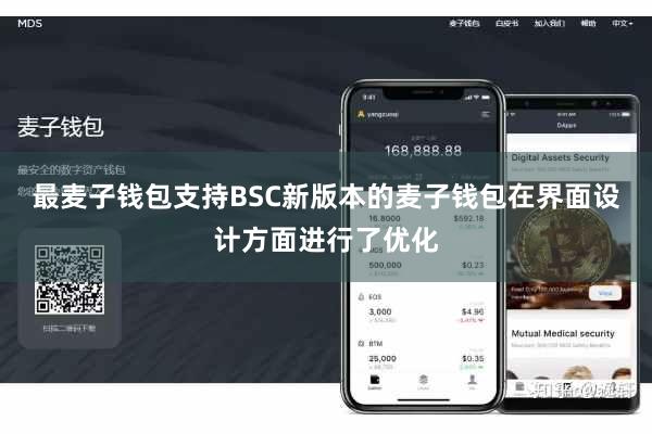 最麦子钱包支持BSC新版本的麦子钱包在界面设计方面进行了优化