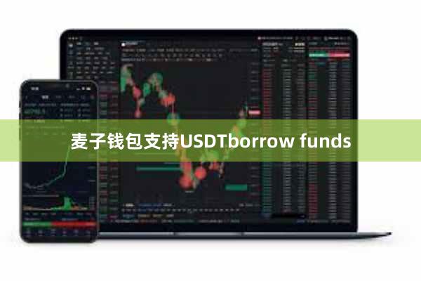 麦子钱包支持USDTborrow funds