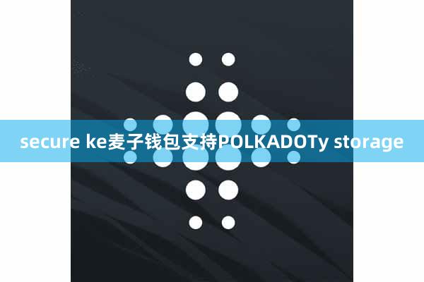 secure ke麦子钱包支持POLKADOTy storage