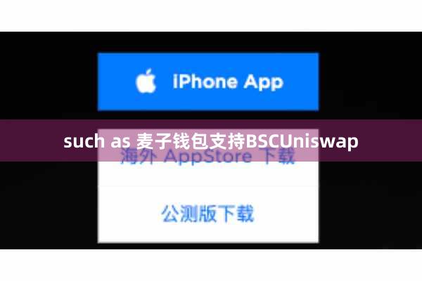 such as 麦子钱包支持BSCUniswap