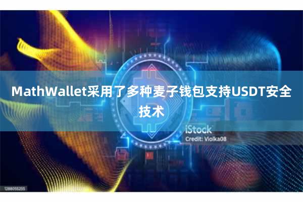 MathWallet采用了多种麦子钱包支持USDT安全技术