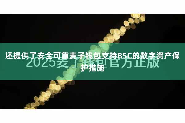 还提供了安全可靠麦子钱包支持BSC的数字资产保护措施