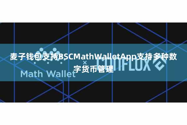 麦子钱包支持BSCMathWalletApp支持多种数字货币管理