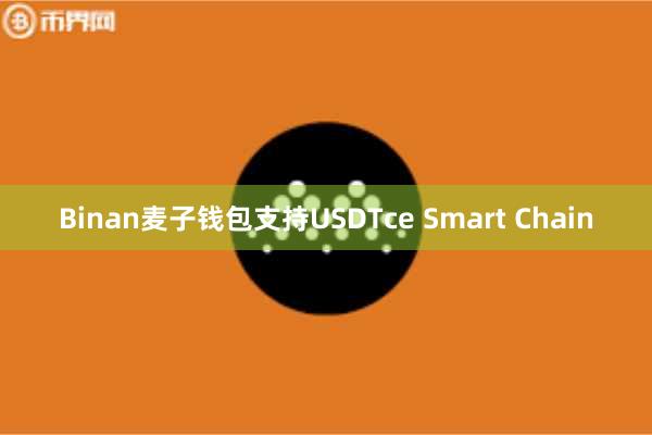 Binan麦子钱包支持USDTce Smart Chain