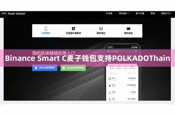 Binance Smart C麦子钱包支持POLKADOThain