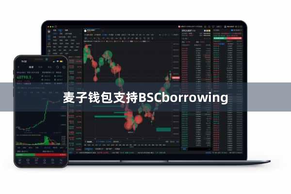麦子钱包支持BSCborrowing