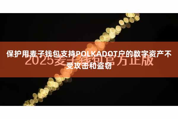 保护用麦子钱包支持POLKADOT户的数字资产不受攻击和盗窃