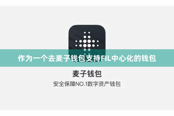 作为一个去麦子钱包支持FIL中心化的钱包
