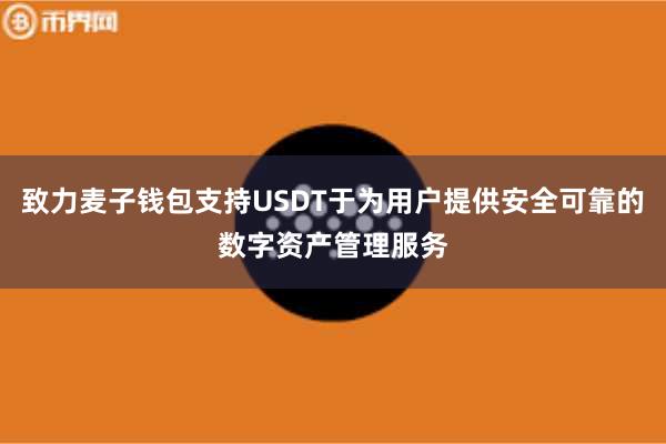 致力麦子钱包支持USDT于为用户提供安全可靠的数字资产管理服务