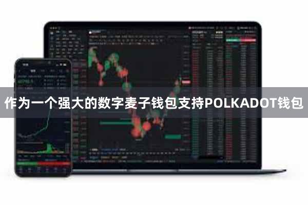 作为一个强大的数字麦子钱包支持POLKADOT钱包