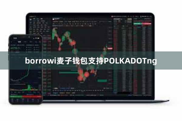borrowi麦子钱包支持POLKADOTng