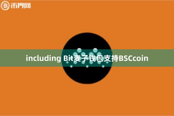 including Bit麦子钱包支持BSCcoin