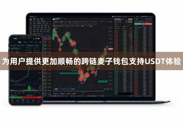 为用户提供更加顺畅的跨链麦子钱包支持USDT体验