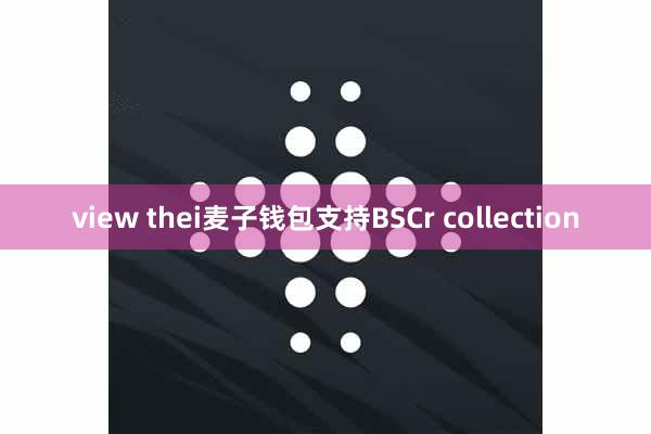 view thei麦子钱包支持BSCr collection