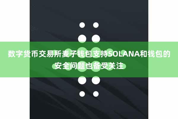 数字货币交易所麦子钱包支持SOLANA和钱包的安全问题也备受关注