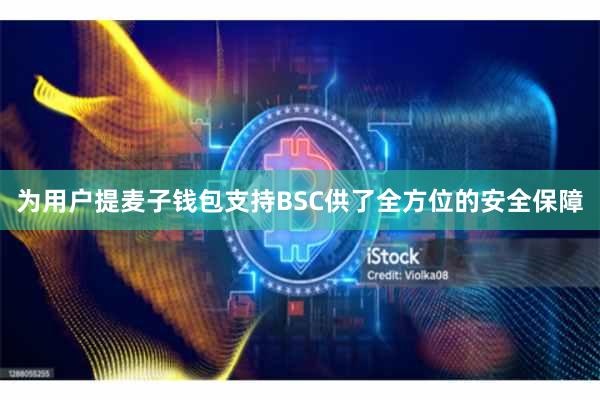 为用户提麦子钱包支持BSC供了全方位的安全保障