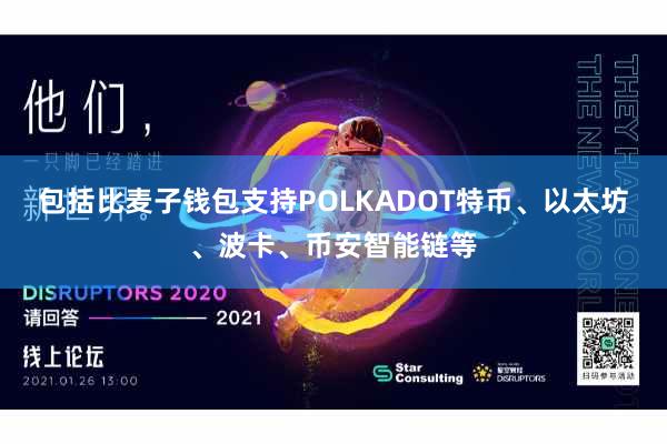 包括比麦子钱包支持POLKADOT特币、以太坊、波卡、币安智能链等